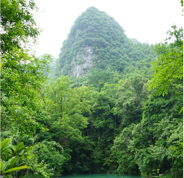 賞華夏大地，游多彩貴州-－2021年廣東博皓快樂行-2