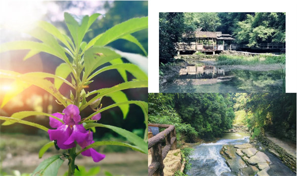 “湘”約鳳凰，相守未來(lái)——2022博皓快樂(lè)湖南行    -34